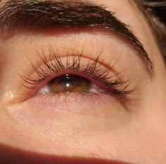 the eye of a woman with long eyelashes