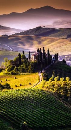 the rolling hills and valleys are dotted with trees, grass, and farm buildings in the distance