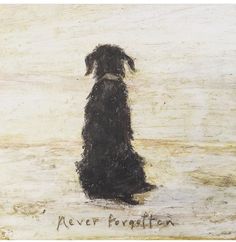 a black dog sitting on top of a sandy beach next to the ocean with words never forgotten