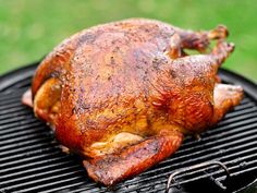 a whole chicken sitting on top of a bbq grill with green grass in the background