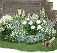 the garden is full of white flowers and greenery