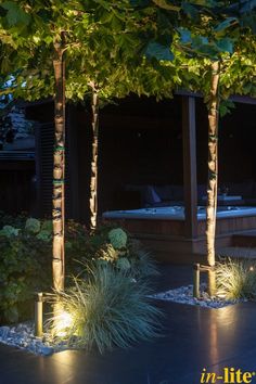 an outdoor lighting display with trees and plants in the background, on instagram for pinterest