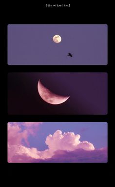 three different shots of the same moon and clouds with one bird flying in the sky