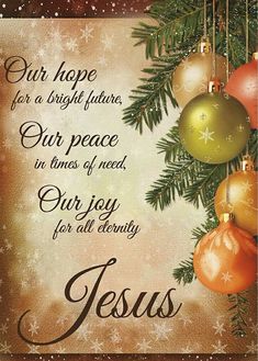 a christmas card with ornaments hanging from it's sides and the words, our hope for