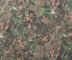 pine cones and leaves are on the ground in this camouflage fabric pattern that is very similar to realtree camo