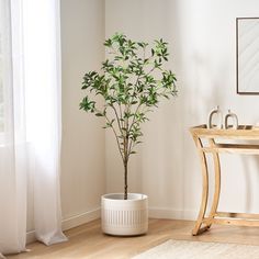 a potted plant sitting on top of a wooden table next to a white wall