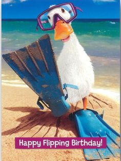 a happy birthday card with a duck wearing goggles and flippers on the beach