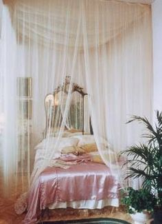 a bed with a white canopy over it next to a potted plant in front of a window