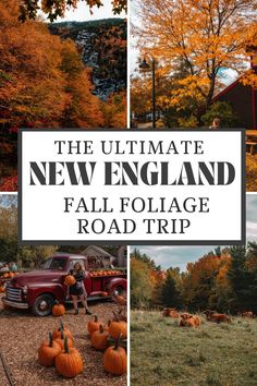 the ultimate new england fall foliage road trip with pumpkins and other things to see