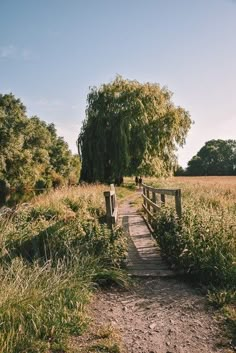 a wooden bridge over a small stream in the middle of a field