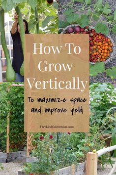 a sign that says how to grow vertically to minimize space and improve yield in the garden