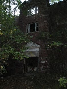 an old abandoned building in the woods