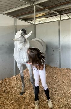 horse girl showjumping aesthetic Horse Owner Aesthetic, Showjumper Aesthetic, Horse Aesthetic Pictures, Showjumping Aesthetic, Horse And Girl