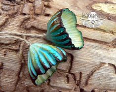 two blue and green shells sitting on top of a piece of wooden planked floor