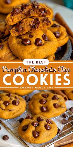 Add these Pumpkin Chocolate Chip Cookies to your favorite pumpkin food ideas! These homemade pumpkin cookies are made of pumpkin pie spice and pumpkin puree. What an easy Fall recipe! Pumpkin Chocolate Chip Cookies Recipe, Baking Fall, Pumpkin Puree Recipes, Brownies Cookies, Chocolate Chip Cookies Recipe, Pumpkin Chocolate Chip, Pumpkin Chocolate Chip Cookies, Cookies Baking, Thanksgiving Food Desserts