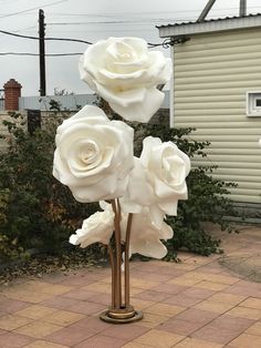 three white roses are in a vase on a brick walkway near some bushes and buildings