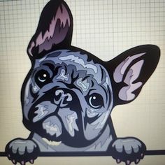 a close up of a dog on a computer screen with the image of a french bulldog