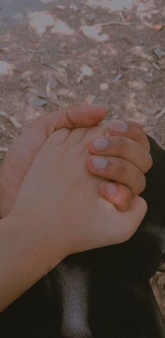 two hands holding each other over a black dog's head with leaves on the ground in the background