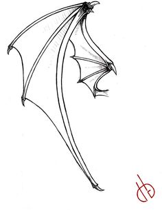 a black and white drawing of a dragon flying through the air with its wings spread