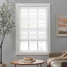 a living room scene with focus on the blinds