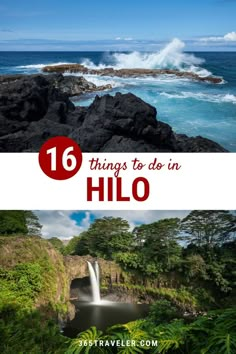 the top things to do in hilo