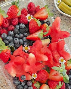 some fruit is in a plastic container on the counter next to bananas and watermelon