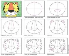 step by step instructions for how to draw a cartoon tiger's face and head