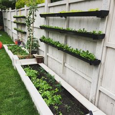 an outdoor garden with various plants growing in the planter boxes on the side of the fence