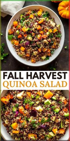 two plates filled with quinoa salad next to pumpkins and other food items