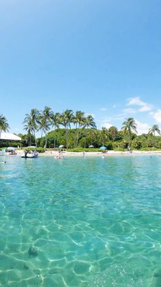 the water is crystal blue and clear with people swimming in it, surrounded by palm trees