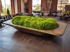 a large wooden bowl filled with lots of green moss sitting on top of a hard wood floor