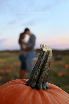 an orange pumpkin with a couple standing behind it