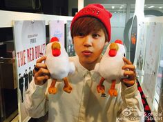 a boy holding two stuffed birds in front of his face while wearing a red hat