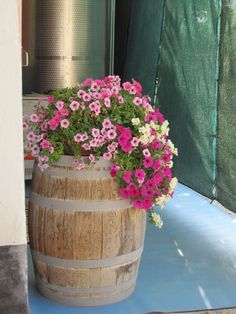 pink and white flowers in a wooden barrel on a blue mat next to a green tarp