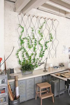 an office area with desks, chairs and plants in pots on the wall behind it