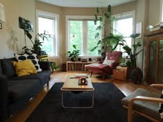 a living room filled with furniture and lots of plants on the windows sills