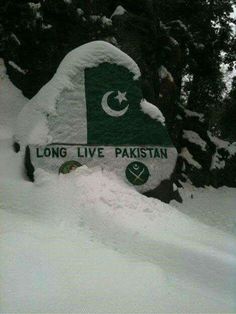 a sign that is covered in snow near some trees