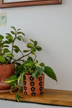 two potted plants sitting on top of a wooden shelf next to a framed picture