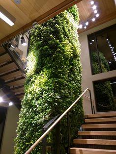 the stairs are covered with green plants and lights