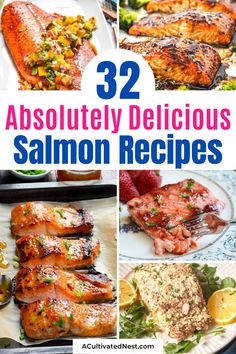 the cover of 32 absolutely delicious salmon recipes