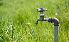 an old faucet in the middle of some tall grass