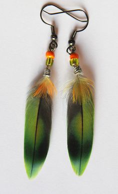 two green and orange feathers hanging from hooks on a white surface with a black cord