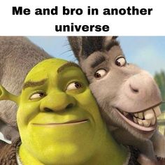 an image of shrat and donkey with caption that reads me and bro in another universe