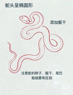 an image of a snake with chinese writing in the bottom right corner and on the left side