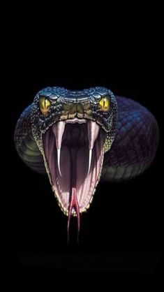 a large snake with its mouth open and it's teeth wide open in the dark