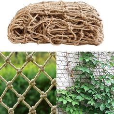 several different types of rope and plants