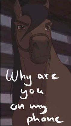 a horse with the words, why are you on my phone?