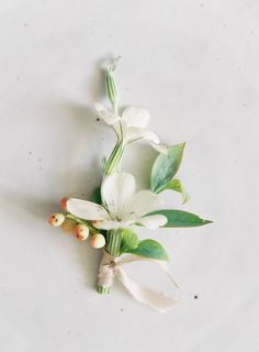 a white flower with green leaves and buds laying on a table top next to other flowers