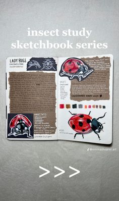 the lady bug book is open to show information