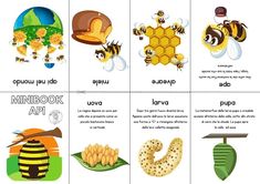 four different types of bees and honeybees are shown in this card game page